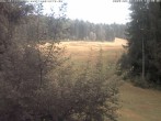 Archived image Webcam Enzklösterle: View Slope 19:00