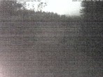 Archiv Foto Webcam Enzklösterle: Blick Skipiste 23:00
