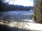 Archived image Webcam Enzklösterle: View Slope 08:00