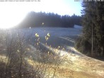 Archived image Webcam Enzklösterle: View Slope 11:00
