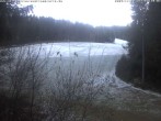 Archived image Webcam Enzklösterle: View Slope 14:00