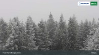 Archiv Foto Webcam Bergstation Hochfichtbahn 08:00