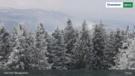 Archiv Foto Webcam Bergstation Hochfichtbahn 12:00