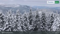 Archiv Foto Webcam Bergstation Hochfichtbahn 08:00