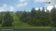 Archiv Foto Webcam Kinderspielplatz am Hochficht 14:00