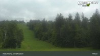 Archived image Webcam Kids Park at Hochficht 08:00