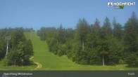 Archiv Foto Webcam Kinderspielplatz am Hochficht 14:00