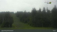 Archiv Foto Webcam Kinderspielplatz am Hochficht 14:00