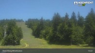 Archiv Foto Webcam Kinderspielplatz am Hochficht 12:00