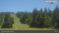 Archiv Foto Webcam Kinderspielplatz am Hochficht 12:00