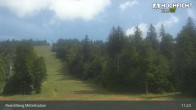 Archiv Foto Webcam Kinderspielplatz am Hochficht 10:00