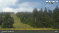 Archiv Foto Webcam Kinderspielplatz am Hochficht 14:00