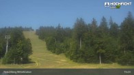 Archiv Foto Webcam Kinderspielplatz am Hochficht 14:00