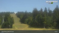 Archiv Foto Webcam Kinderspielplatz am Hochficht 12:00