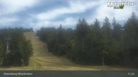 Archiv Foto Webcam Kinderspielplatz am Hochficht 08:00