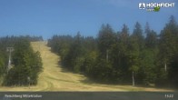 Archiv Foto Webcam Kinderspielplatz am Hochficht 10:00