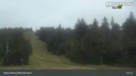 Archiv Foto Webcam Kinderspielplatz am Hochficht 12:00