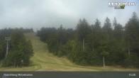 Archiv Foto Webcam Kinderspielplatz am Hochficht 14:00