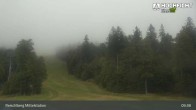 Archiv Foto Webcam Kinderspielplatz am Hochficht 08:00