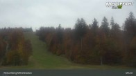 Archived image Webcam Kids Park at Hochficht 08:00