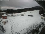 Archiv Foto Webcam Hohenbogen-Talstation 11:00