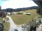 Archiv Foto Webcam Hohenbogen-Talstation 11:00