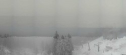 Archiv Foto Webcam Bergstation auf dem Hohenbogen 11:00