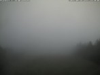 Archiv Foto Webcam Bergstation der Geisskopfbahn 13:00