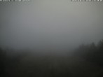 Archiv Foto Webcam Bergstation der Geisskopfbahn 13:00