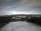 Archiv Foto Webcam Bergstation der Geisskopfbahn 11:00
