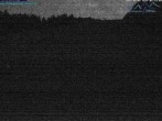 Archiv Foto Webcam Predigtstuhl, St. Englmar 01:00