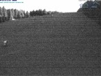 Archived image Webcam Predigtstuhl mountain, St. Englmar 01:00