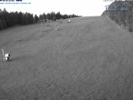 Archived image Webcam Predigtstuhl mountain, St. Englmar 03:00