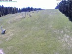 Archived image Webcam Predigtstuhl mountain, St. Englmar 11:00