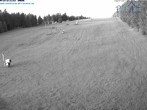 Archiv Foto Webcam Predigtstuhl, St. Englmar 03:00