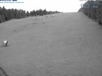 Archiv Foto Webcam Predigtstuhl, St. Englmar 03:00