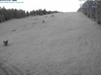 Archiv Foto Webcam Predigtstuhl, St. Englmar 03:00