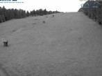 Archiv Foto Webcam Predigtstuhl, St. Englmar 03:00