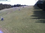 Archived image Webcam Predigtstuhl mountain, St. Englmar 15:00