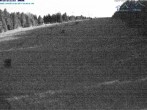 Archiv Foto Webcam Predigtstuhl, St. Englmar 23:00