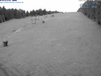 Archiv Foto Webcam Predigtstuhl, St. Englmar 03:00