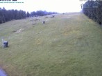 Archived image Webcam Predigtstuhl mountain, St. Englmar 11:00