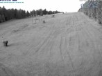 Archiv Foto Webcam Predigtstuhl, St. Englmar 03:00