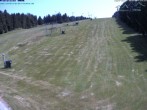 Archiv Foto Webcam Predigtstuhl, St. Englmar 13:00
