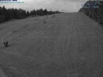Archiv Foto Webcam Predigtstuhl, St. Englmar 21:00