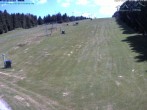 Archiv Foto Webcam Predigtstuhl, St. Englmar 13:00