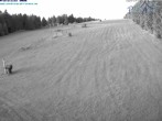Archived image Webcam Predigtstuhl mountain, St. Englmar 03:00