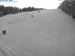 Archiv Foto Webcam Predigtstuhl, St. Englmar 03:00
