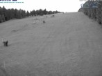 Archiv Foto Webcam Predigtstuhl, St. Englmar 03:00