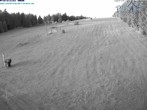 Archiv Foto Webcam Predigtstuhl, St. Englmar 03:00